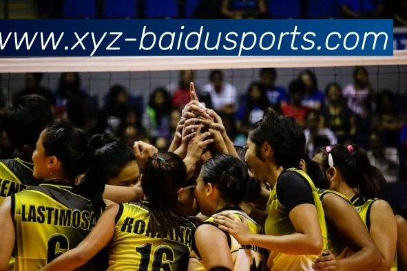 百度体育赛事资讯品牌故事